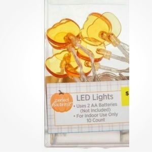 🧡 LED PUMPKIN LIGHT STRAND 🧡